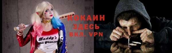 стаф Абаза