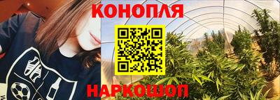 гашик Коммунар