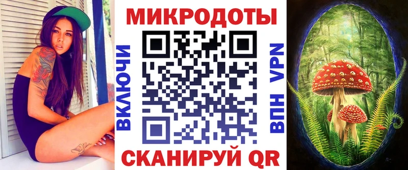 Галлюциногенные грибы Magic Shrooms  где купить наркотик  Камышлов 