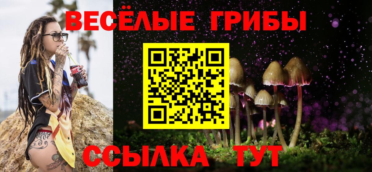 Псилоцибиновые грибы Magic Shrooms Камышлов