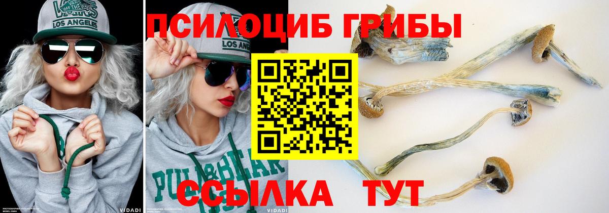 Псилоцибиновые грибы GOLDEN TEACHER  Вход с VPN  Камышлов 